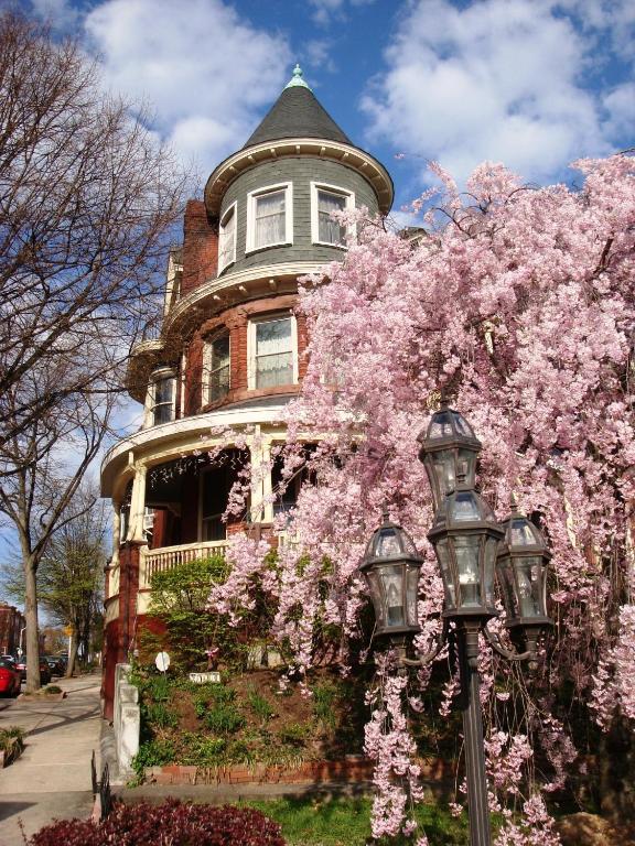 Wilson House Bed & Breakfast Baltimore Bagian luar foto